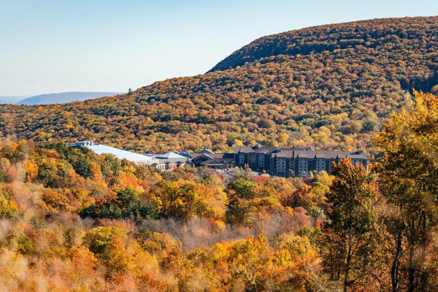 Resort Camelback Tannersville